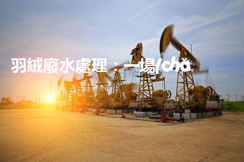 羽絨廢水處理：一場(chǎng)綠色環(huán)保的羽毛盛宴？